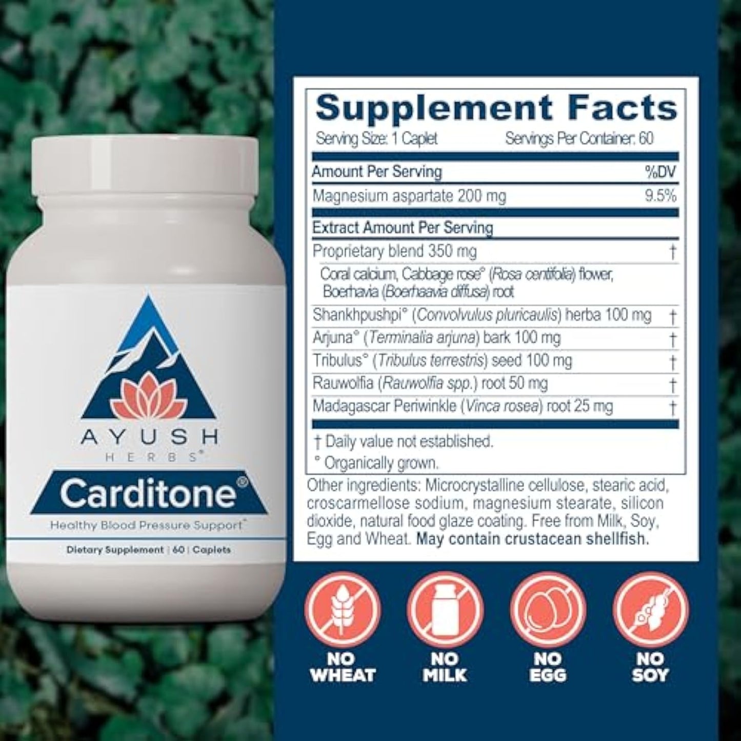 Carditone® -Natural Heart BP HealthSupplement